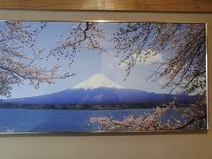 -彩葉·樱花屋日本料理(动物园店)