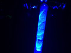 -南京奥林匹克体育中心-体育馆