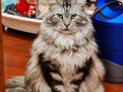 -象王洗衣(青蓝国际店)