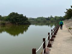 -日照海滨国家森林公园