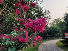 -永定河休闲森林公园