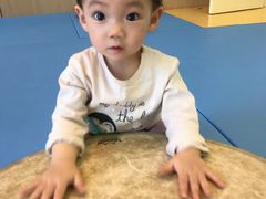 -金宝贝早教&托育(新百CCpark中心)