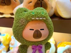 -国家会议中心大酒店