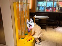 -麦当劳(新王府井店)