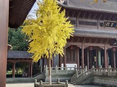 -钱王祠