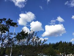 -人民防洪胜利纪念塔