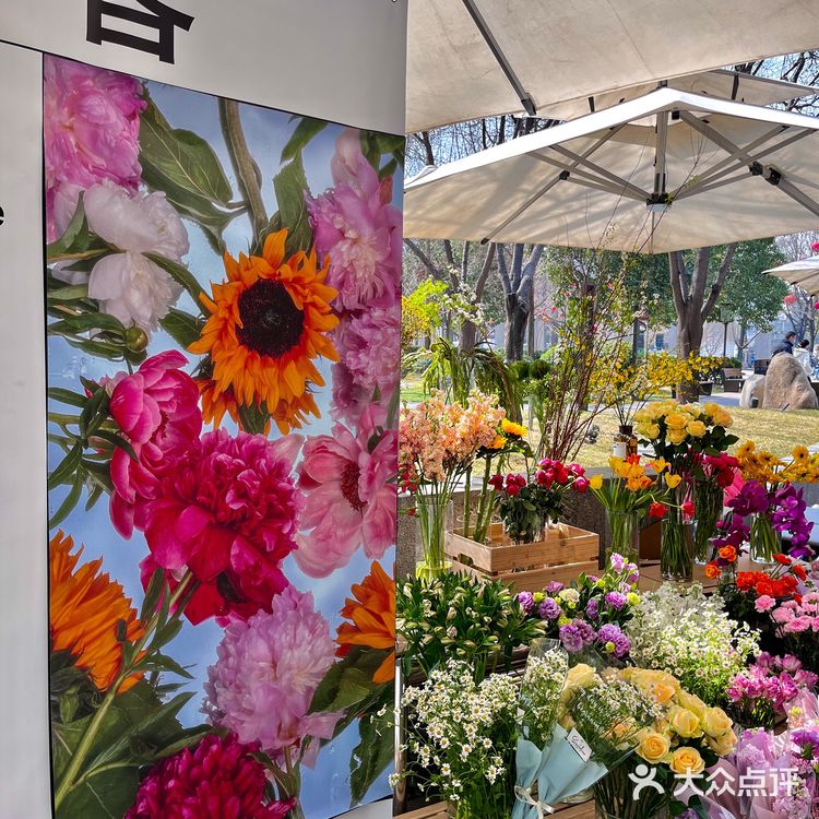 喜欢西安的春天🌷让每家小店都在走花路！