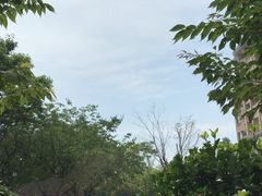 -桔子海鲜烧烤大排档(金沙滩店)