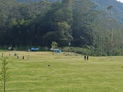 -黄埔油麻山森林公园