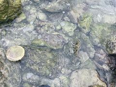 -后海村