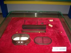 -上海昆虫博物馆