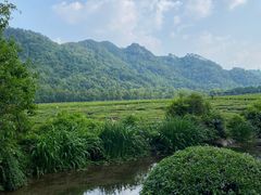-中国茶叶博物馆(双峰馆区)