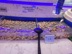 -澜悦港海鲜体验主题餐厅