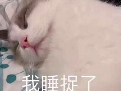 -金三顺韩式炭火烤肉店(中华路店)