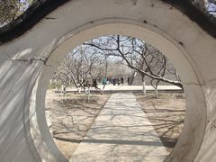 -桃花堤公园