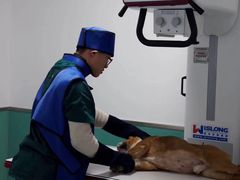 -欧奕国际动物医院