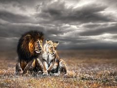 -罗红摄影艺术馆