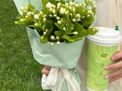 -茶屿水果茶(太古里店)