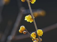 -颐和园