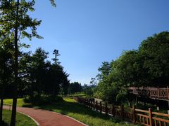-棒棰岛宾馆景区