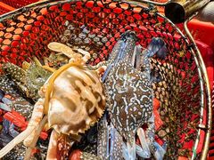 -巽寮印象美食部落餐厅·海鲜·地方特色菜(惠州体验店)