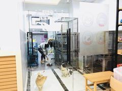-宠颐生嘉德动物医院
