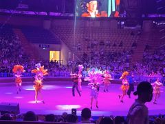 -俄罗斯国家大马戏团