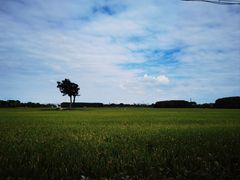 -嘉北郊野公园