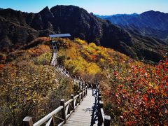 -大岭沟猕猴桃谷风景区