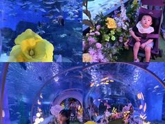 -顺德南宏海立方海洋公园