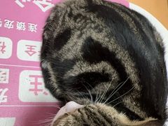 -全心全意动物诊疗中心医院(北苑店)