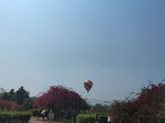 -中国科学院西双版纳热带植物园