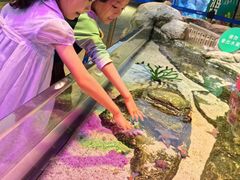 -沈阳海洋探索中心