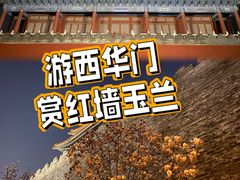 -东华门大街小区