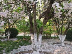 -元大都城垣遗址公园