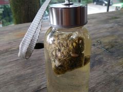 -茶颜悦色(岳麓山顶店)