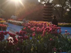 -南山植物园