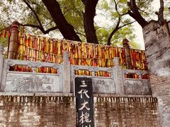 -大槐树寻根祭祖园