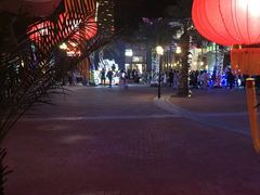 -三亚海昌梦幻海洋不夜城