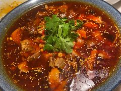 -初蓉丨遇见新川菜(亲贤街荣耀店)