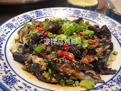-正宗来凤鱼璧山兔(花卉园店)
