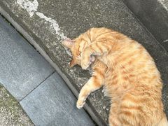 -西南交通大学(峨眉校区)