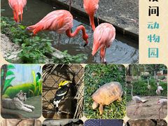 -清迈夜间动物园