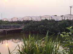 -马陆小张葡萄园农家乐