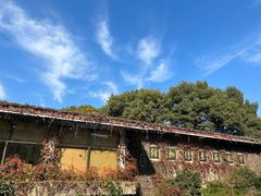 -中国茶叶博物馆(双峰馆区)