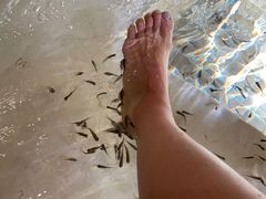 -中家鑫园温泉酒店鑫悦汤泉