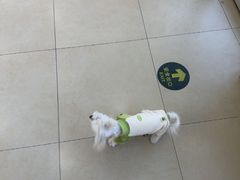 -美迦爱-牙专科·兔科·骨科诊疗中心(北苑店)