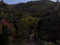 -海南热带雨林国家公园吊罗山景区