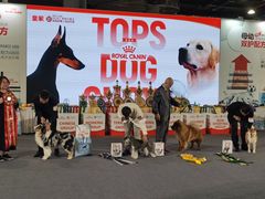 -东浩兰生上海世博展览馆