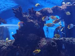 -多彩贵州城极地海洋世界